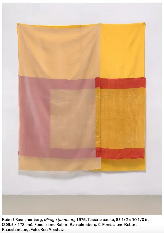 Immagine 4 di 6 - RAUSCHENBERG 100