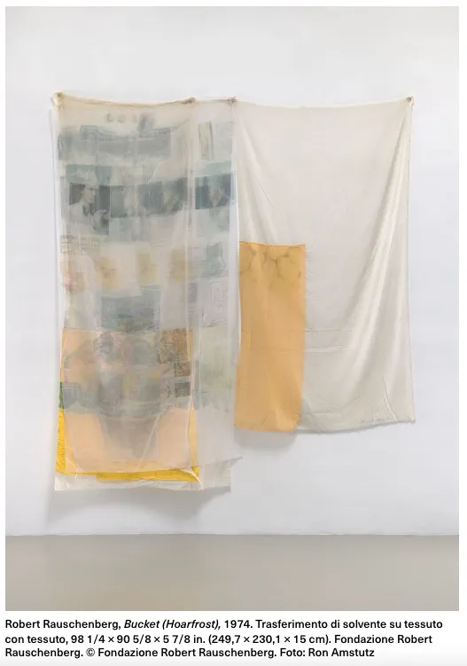 Immagine 5 di 6 - RAUSCHENBERG 100