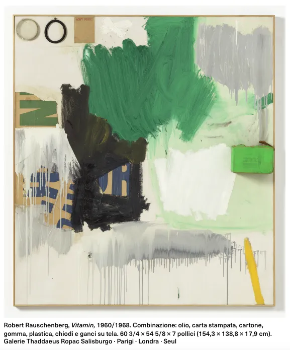 Immagine 6 di 6 - RAUSCHENBERG 100