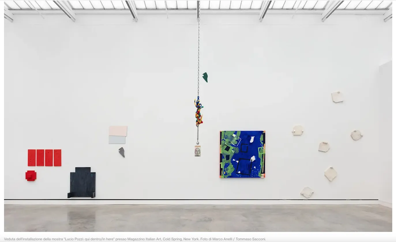 Immagine 2 di 2 - Lucio Pozzi: qui dentro / in here