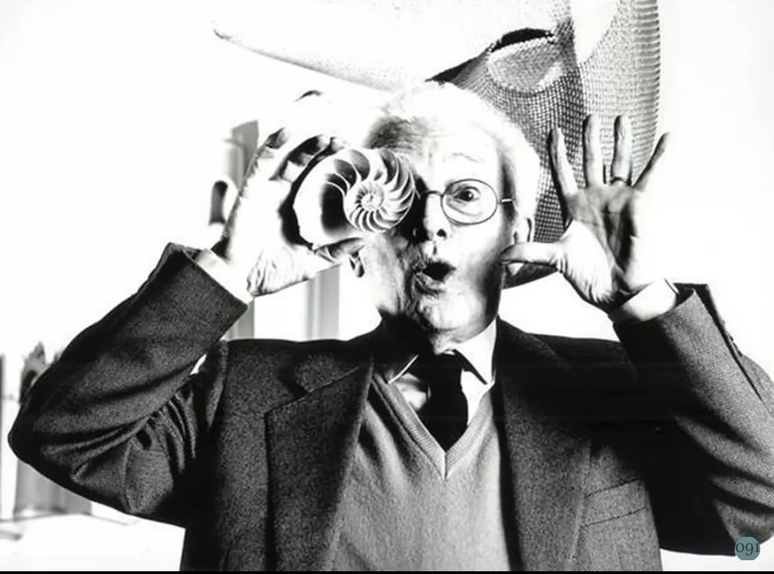 Approfondimenti | Bruno Munari