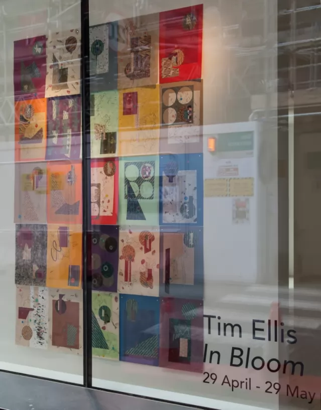 Tim Ellis | In bloom.